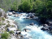 CAMERA: OK ALL’ORDINE DEL GIORNO BORGHI SULLA PULIZIA DEI CORSI D’ACQUA