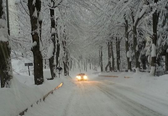 STRADE PROVINCIALI: IN ARRIVO RISPOSTE CONCRETE 