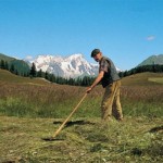 agricoltura in montagna