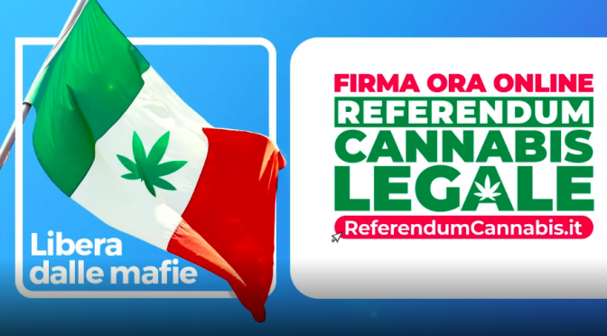 PD VCO: si al referendum sulla depenalizzazione dei reati legati al consumo di Cannabis