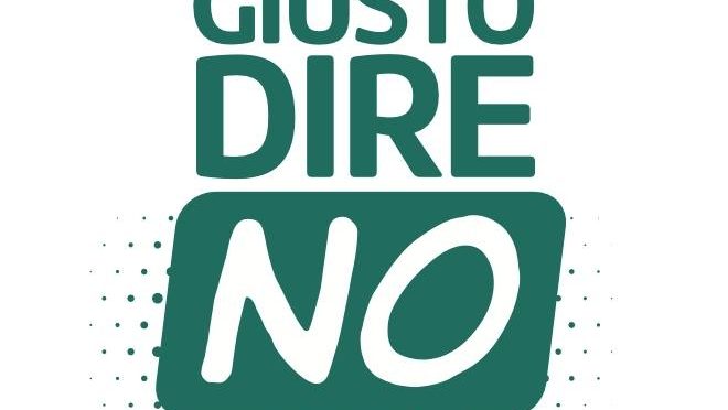 Le ragioni del NO: incontro pubblico sul referendum. Giovedì 15 Gennaio a Gravellona h 21